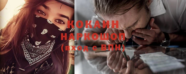 соль ск Новодвинск