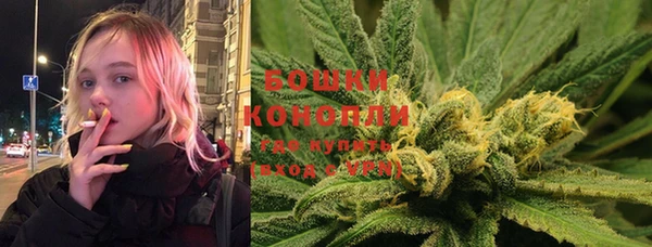 соль ск Новодвинск