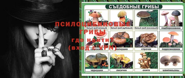 мдпв Нефтегорск