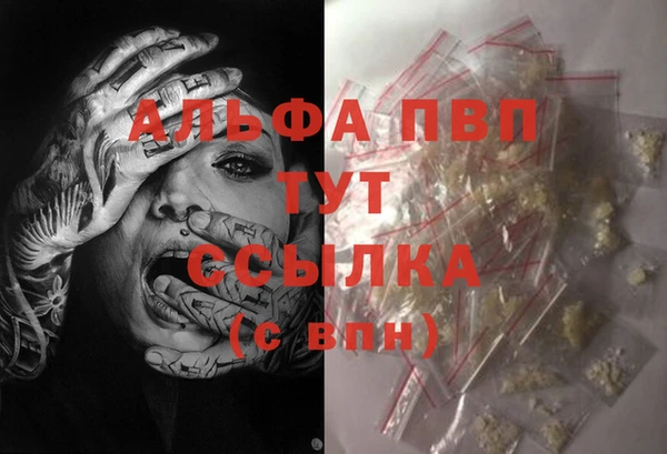 соль ск Новодвинск